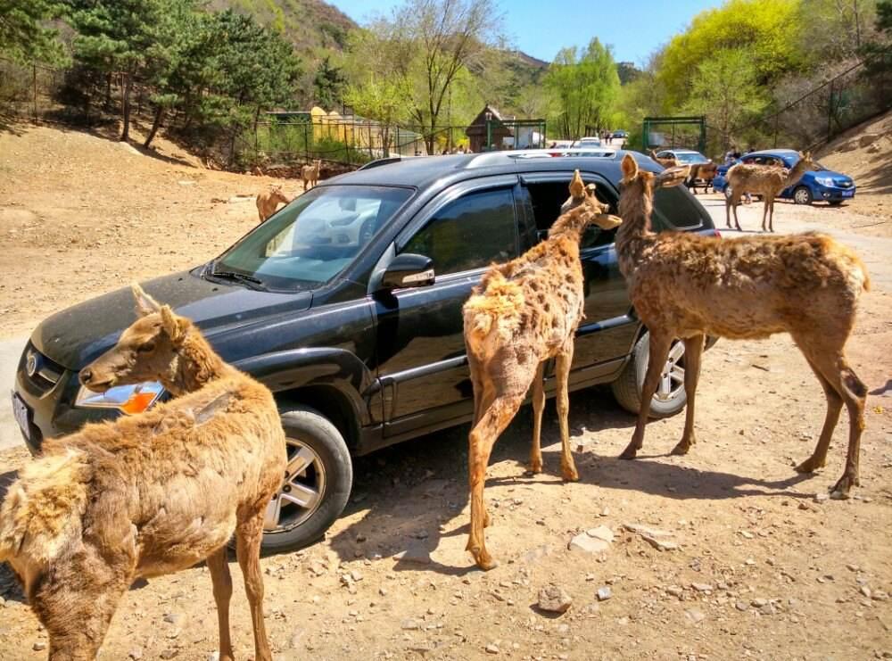 文化和旅游部要求各地进一步加强A级旅游景区安全管理